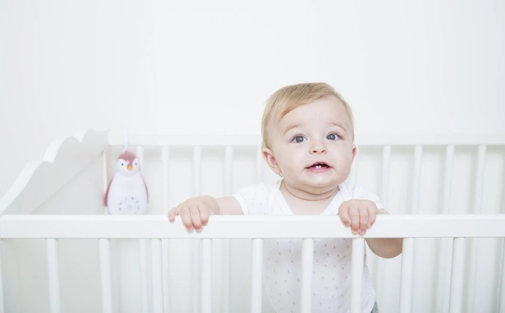 Zazu Zoe De Pinguin Blauw 3 In 1 Muziekdoosje ZA-ZOE-02 11 Zazu Zoe De Pinguin Blauw 3 In 1 Muziekdoosje ZA-ZOE-02 - Afbeelding 11