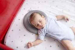 Babymoov Lovenest Premium Smokey Ergonomisch Hoofdkussentje A050224 -Beste Babyproducten Babymoov Lovenest Premium Smokey Kussentje A050217 4