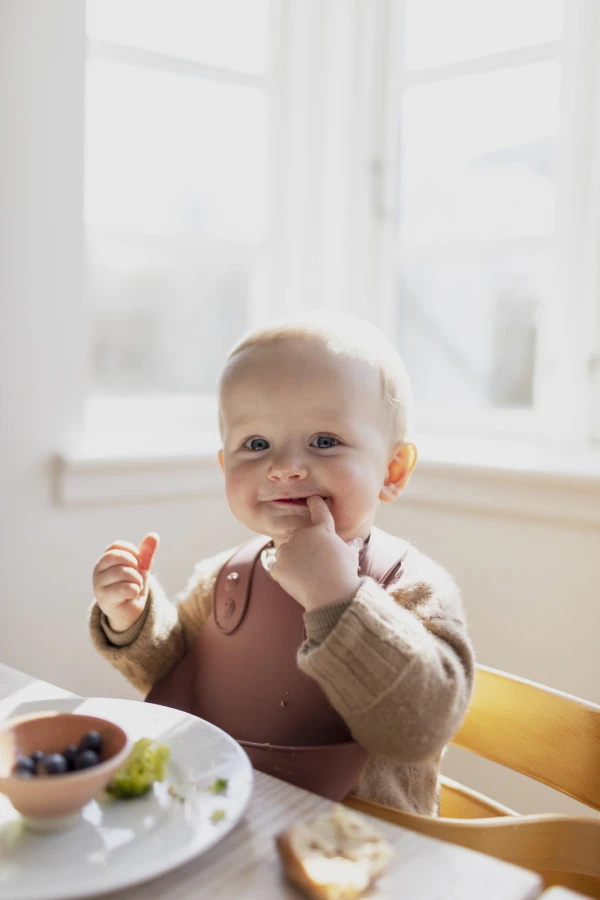 Bibs Overall Woodchuck Slab 4000247 2 Bibs Overall Woodchuck Slab 4000247 - Afbeelding 2