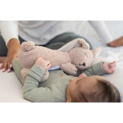 Doomoo Snoogy Biscuit Konijn Magnetronknuffel SY21 11 Doomoo Snoogy Biscuit Konijn Magnetronknuffel SY21 -Beste Babyproducten doomoo snoogy biscuit konijn magnetronknuffel sy21 3