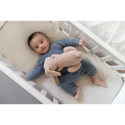 Doomoo Snoogy Biscuit Konijn Magnetronknuffel SY21 10 Doomoo Snoogy Biscuit Konijn Magnetronknuffel SY21 -Beste Babyproducten doomoo snoogy biscuit konijn magnetronknuffel sy21 6