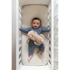 Doomoo Snoogy Biscuit Konijn Magnetronknuffel SY21 14 Doomoo Snoogy Biscuit Konijn Magnetronknuffel SY21 -Beste Babyproducten doomoo snoogy biscuit konijn magnetronknuffel sy21 7