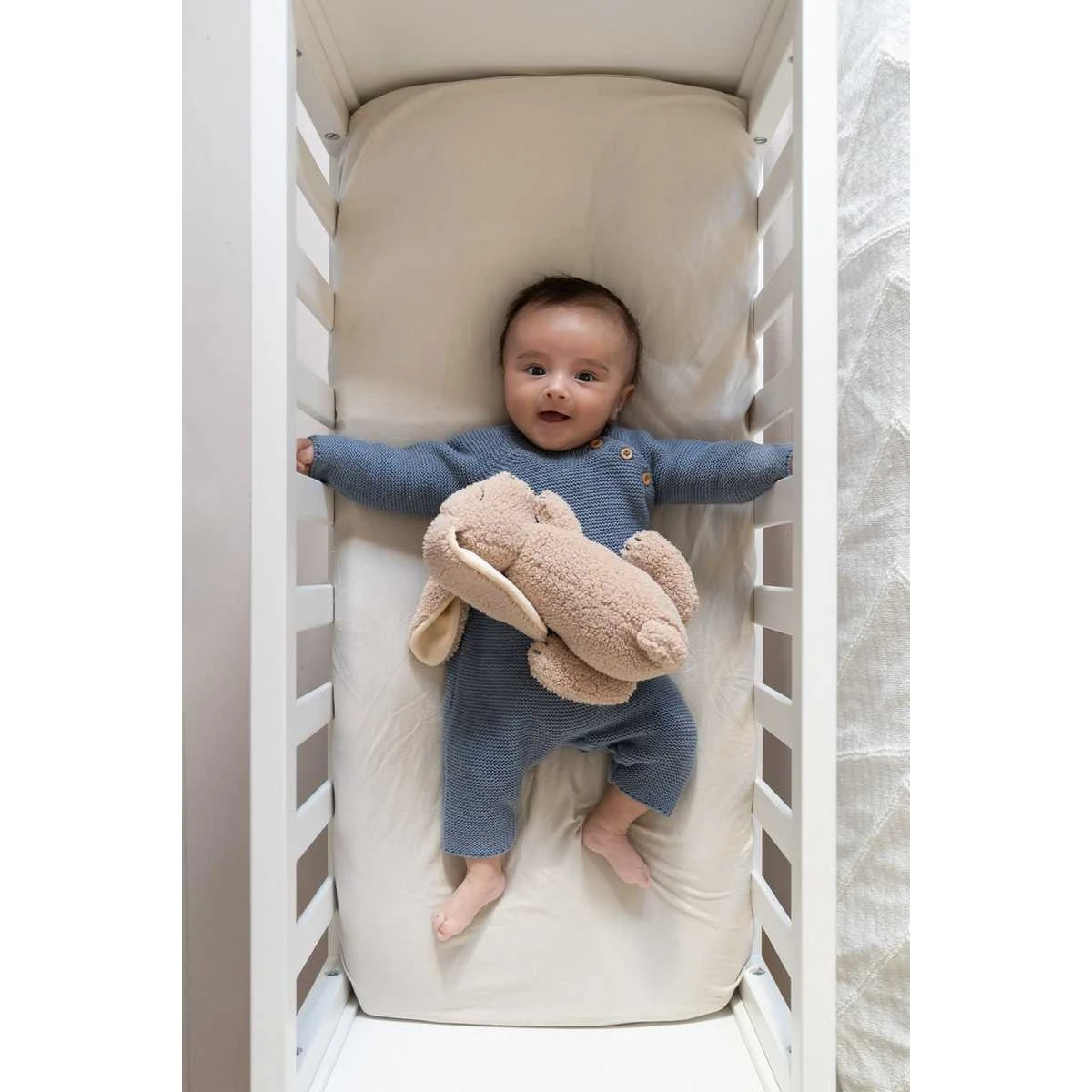 Doomoo Snoogy Biscuit Konijn Magnetronknuffel SY21 7 Doomoo Snoogy Biscuit Konijn Magnetronknuffel SY21 - Afbeelding 7