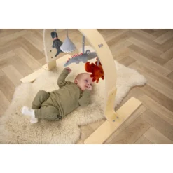 Tryco Houten Babygym TR-303011 -Beste Babyproducten mamaloes tryco babygym 01 1