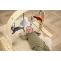 Tryco Houten Babygym TR-303011 -Beste Babyproducten mamaloes tryco babygym 02 1